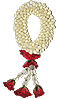 flower01.gif